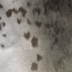 Close up of seal fur cuffs by indigenous artist 4