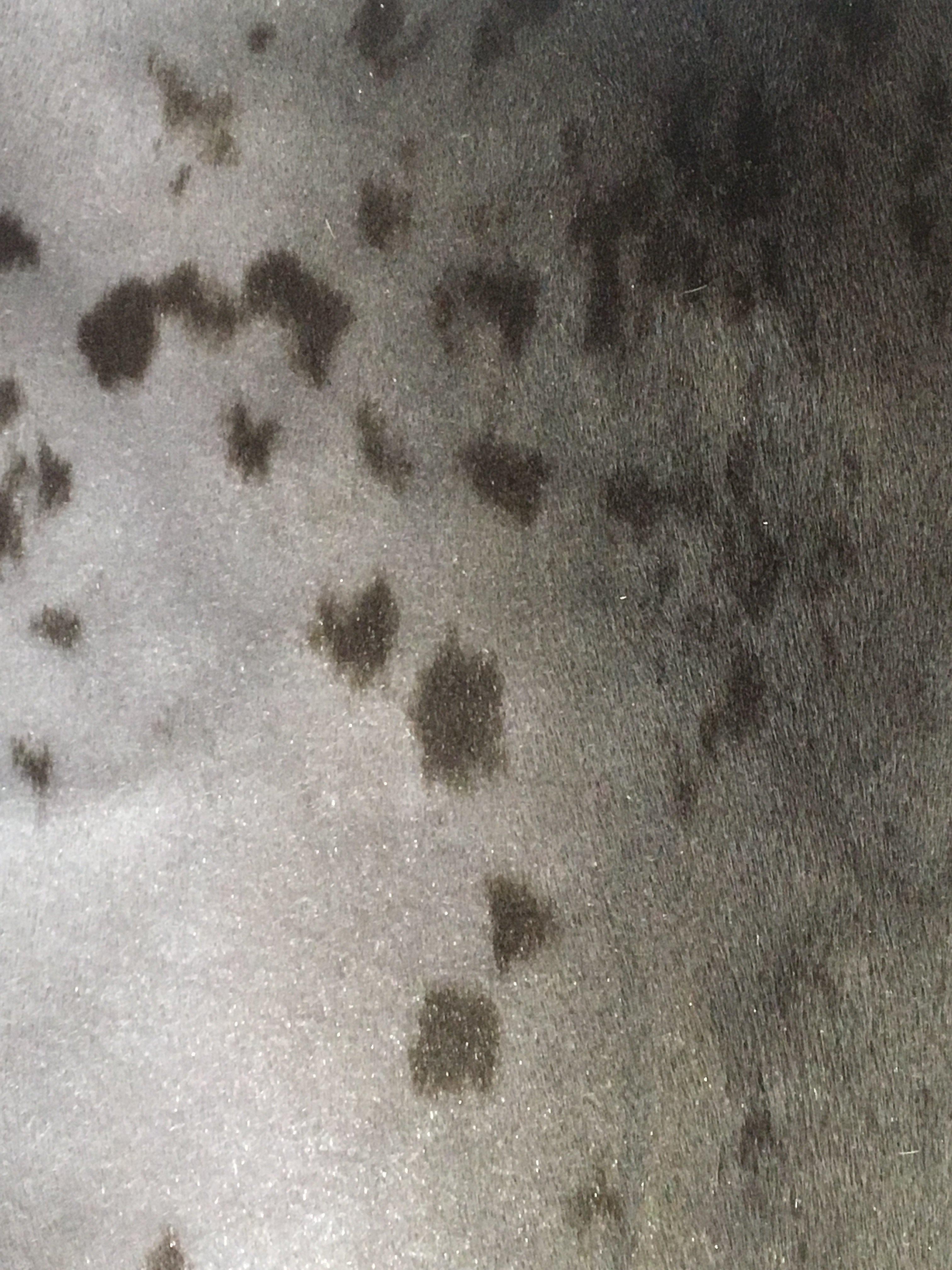 Close up of seal fur cuffs by indigenous artist 4