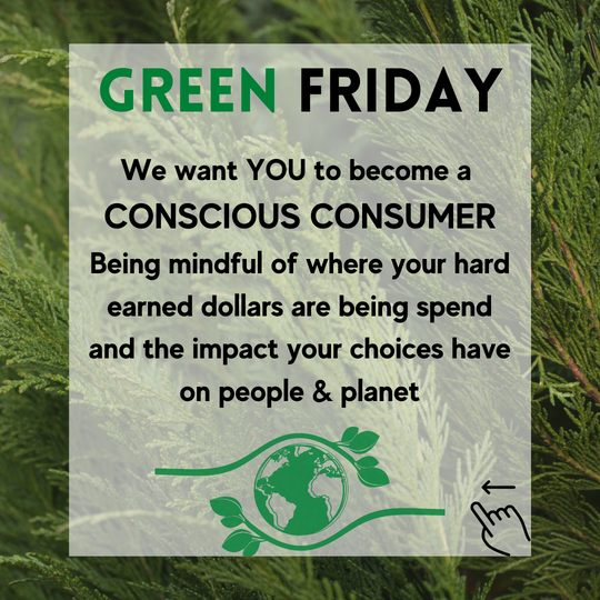 GREEN FRIDAY - Becoming a Conscious Consumer