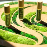 Root of Calm Essential Oil Roll On