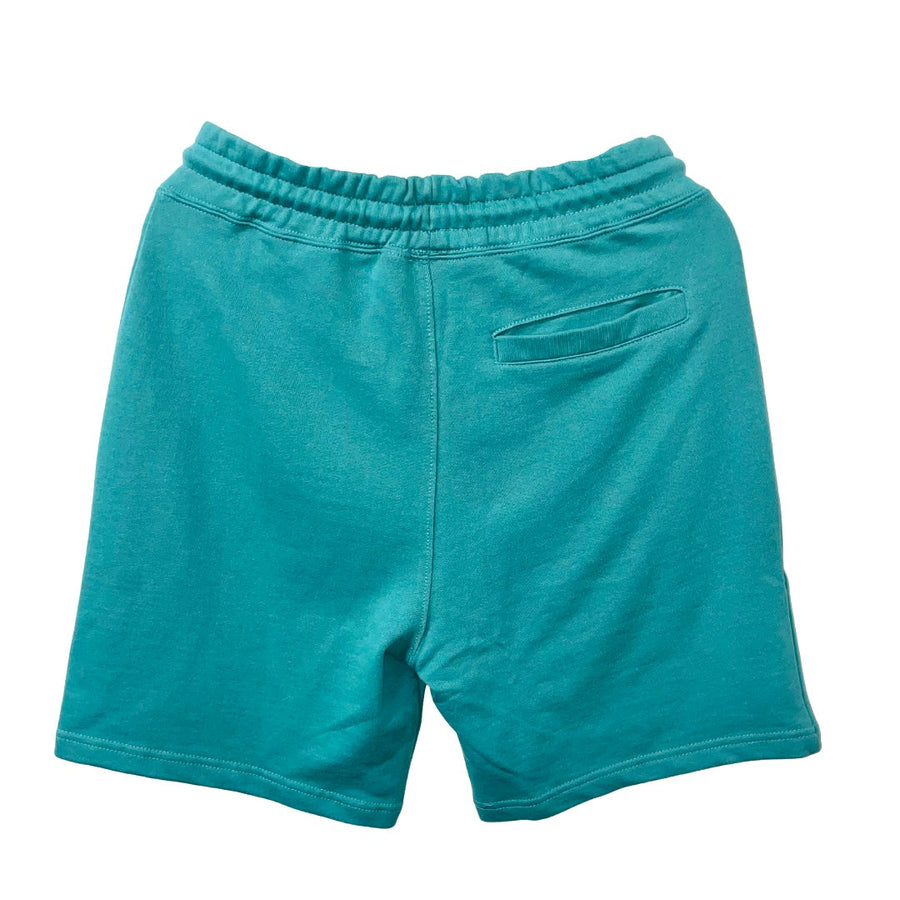 Front view of Organic cotton shorts in teal by indigenous artist