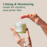 Pyunkang Yul Skincare