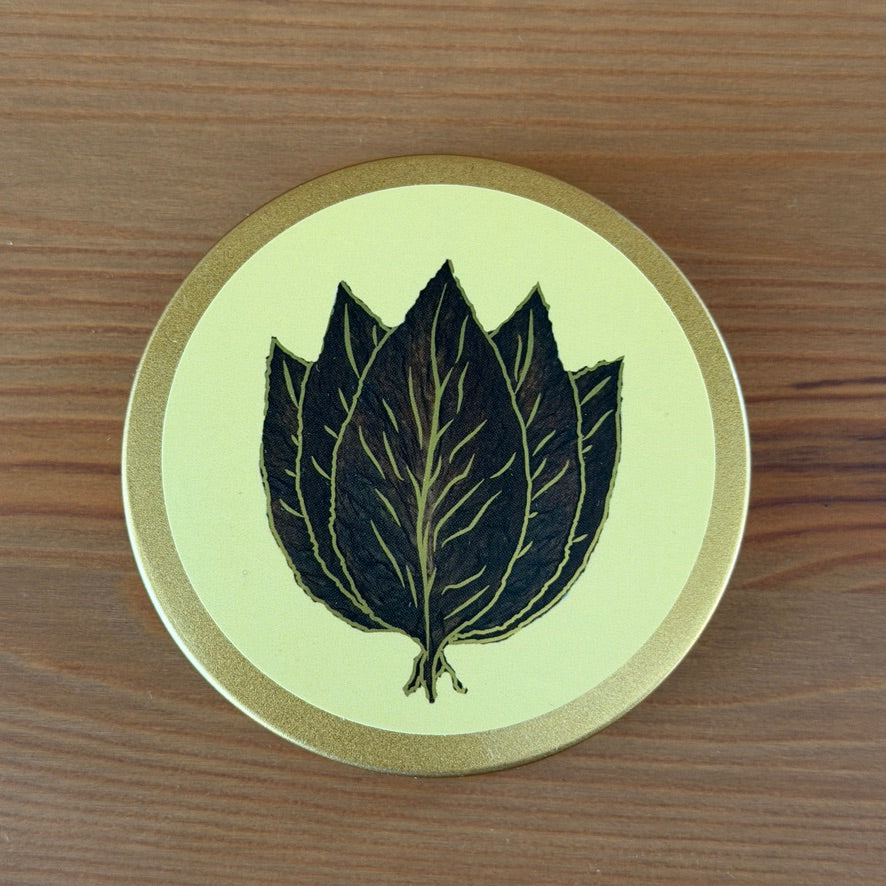 Ancestral Essences Candle Collection - Rooted in Cree (Nîhiyaw) Teachings