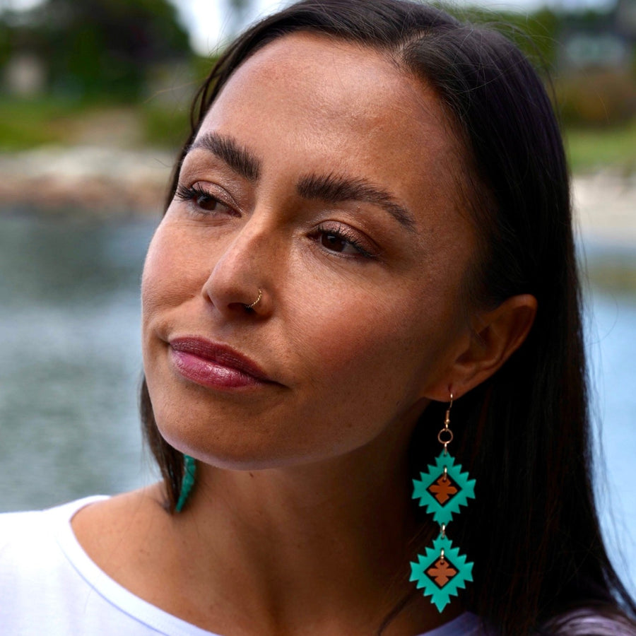 Plains Points Acrylic Earrings
