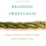 Braiding Sweetgrass: Indigenous Wisdom, Scientific Knowledge and the Teachings of Plants