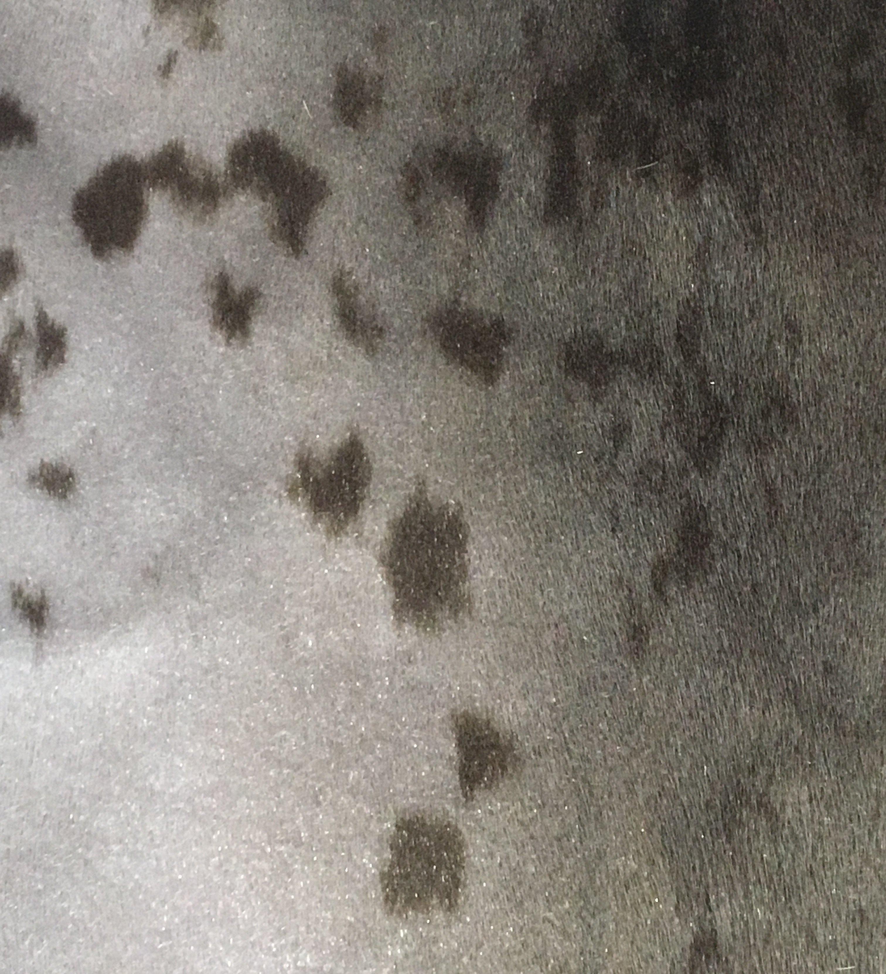 Close up of seal fur cuffs by indigenous artist 4